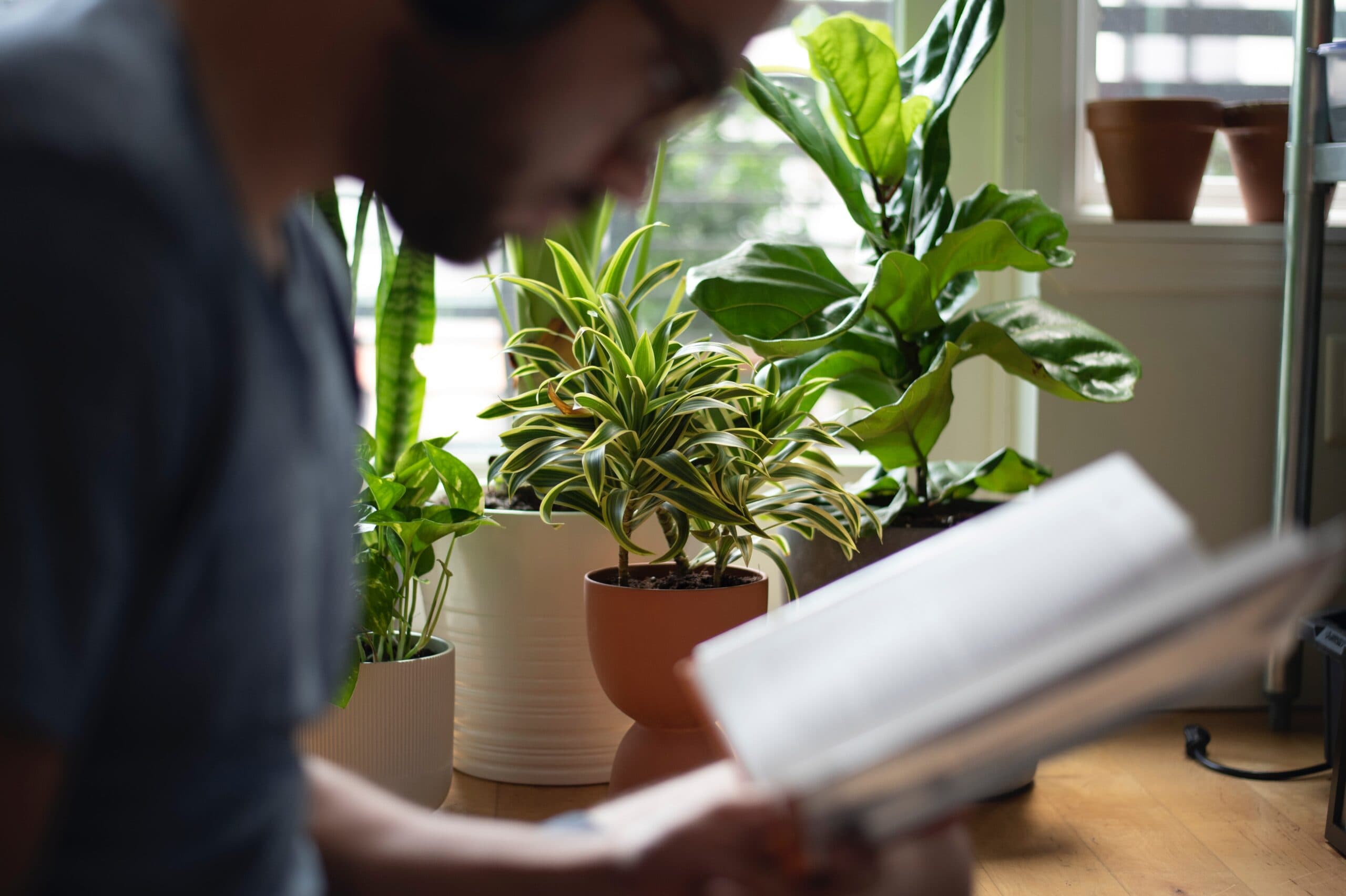 Неправильные глаголы в корейском языке | Выпадение на ㄹ ㄷ ㅂ ㅅ 르 으